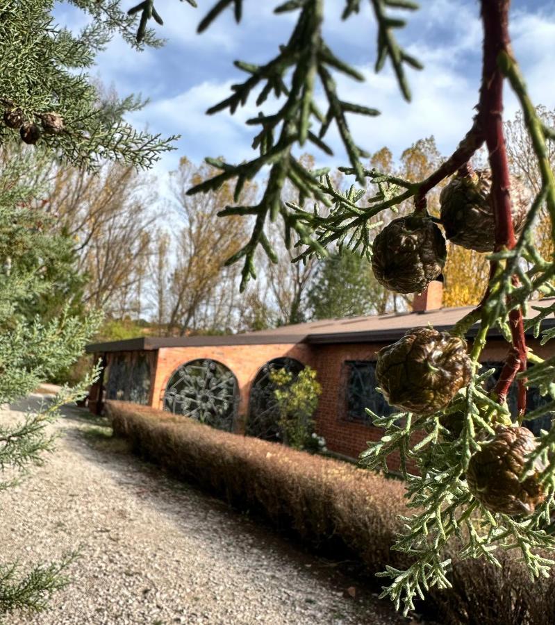 Finca Paraiso Rural El Burgo De Osma Ngoại thất bức ảnh