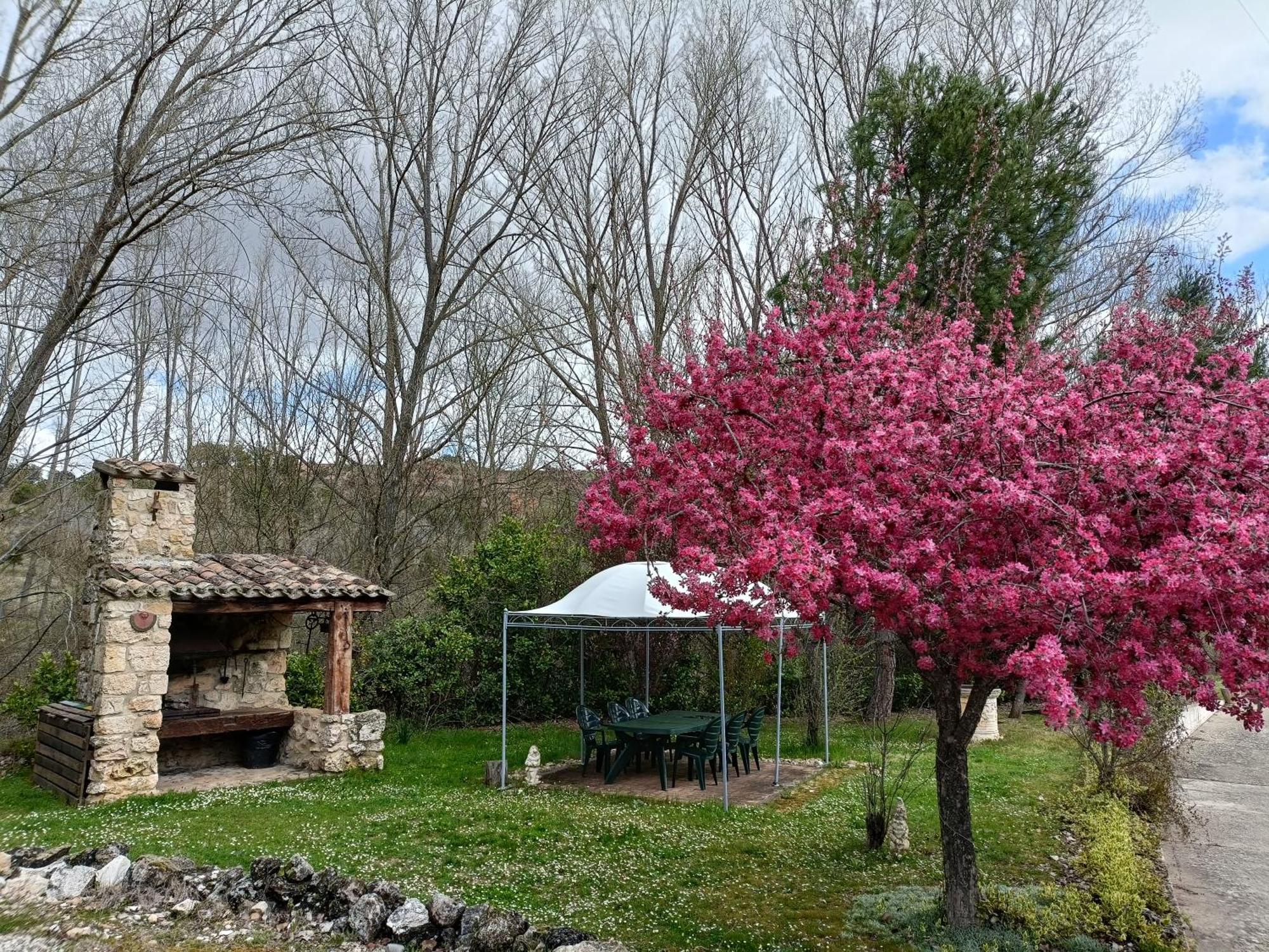Finca Paraiso Rural El Burgo De Osma Ngoại thất bức ảnh